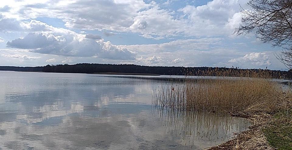 Cztery Pory Warmii Pluski Pokoje Do Wynajecia Apartment Bagian luar foto