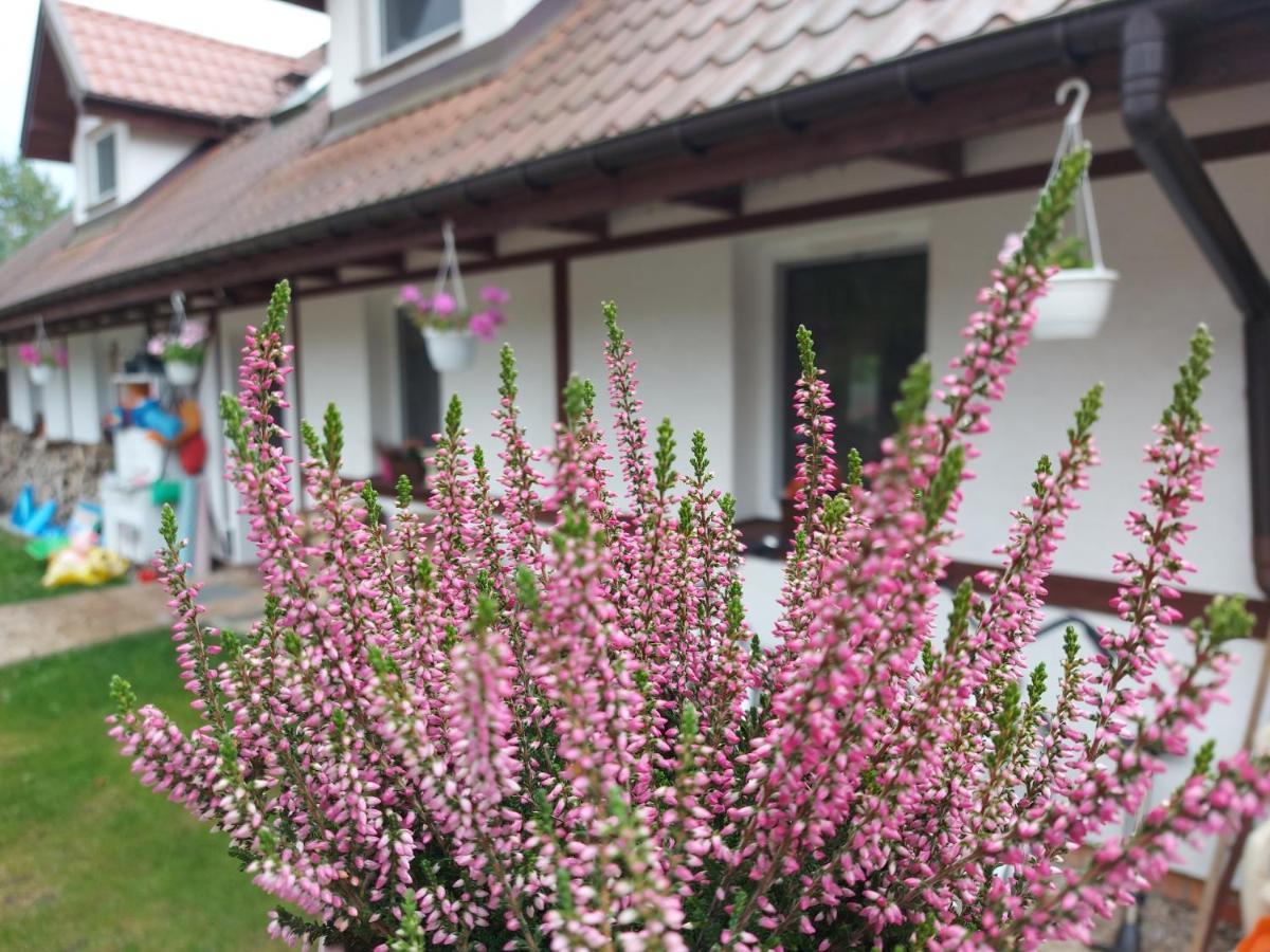 Cztery Pory Warmii Pluski Pokoje Do Wynajecia Apartment Bagian luar foto